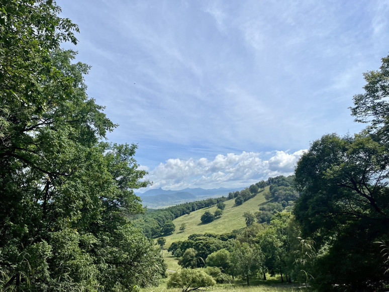 Pingshan Kraliyet Geyik Çiftliği: Harbin’in Doğa ve Tarih Merkezli Turistik Alanı - Resim : 3
