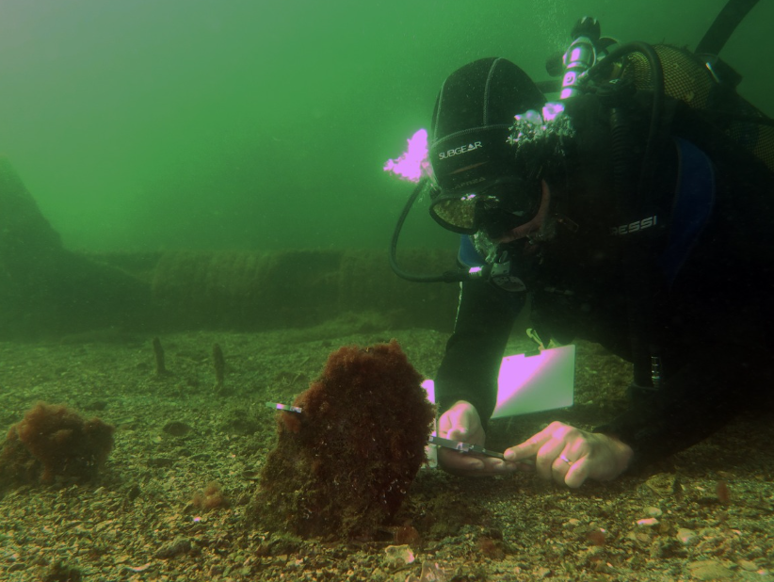 Müsilaj ile mücadelede yeni adım! Bakan Murat Kurum açıkladı - Resim : 2