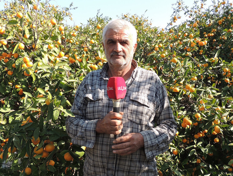 ‘Mandalinayı okullara dağıtın’ - Resim : 2