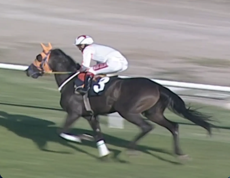 Halka at yediren firma Süleymancı çıktı - Resim : 3