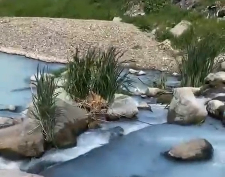 Marmara Denizi'nde tehlike! - Resim : 1