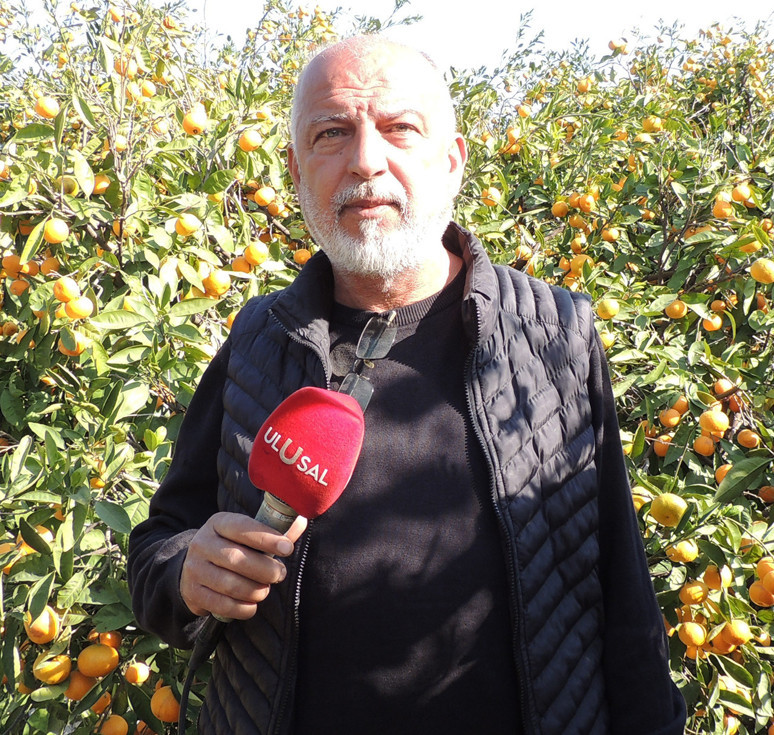 ‘Mandalinayı okullara dağıtın’ - Resim : 3