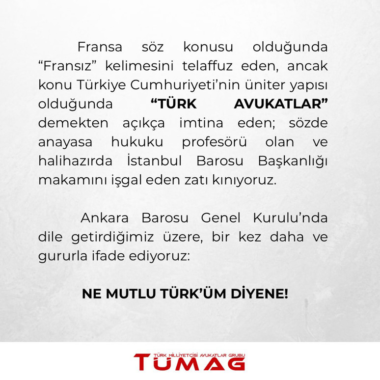 Türk milliyetçisi avukatlardan İbrahim Kaboğlu'na sert tepki: Ne mutlu Türk'üm diyene - Resim : 1