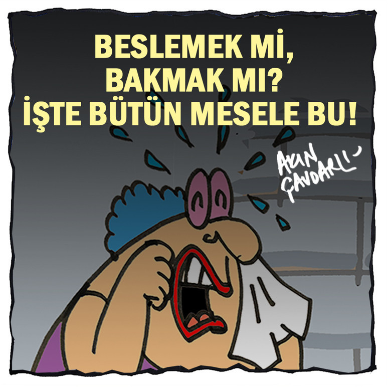 Beslemek mi, bakmak mı? İşte bütün mesele bu! - Resim : 1