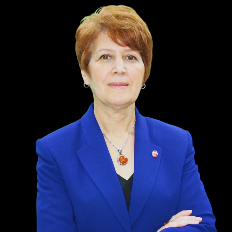 Ankara Zirvesi öncesi Öncü Kadın’dan NATO açıklaması: Zincirleri kırma zamanı - Resim : 1