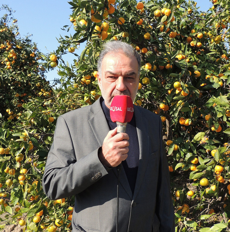 ‘Mandalinayı okullara dağıtın’ - Resim : 1