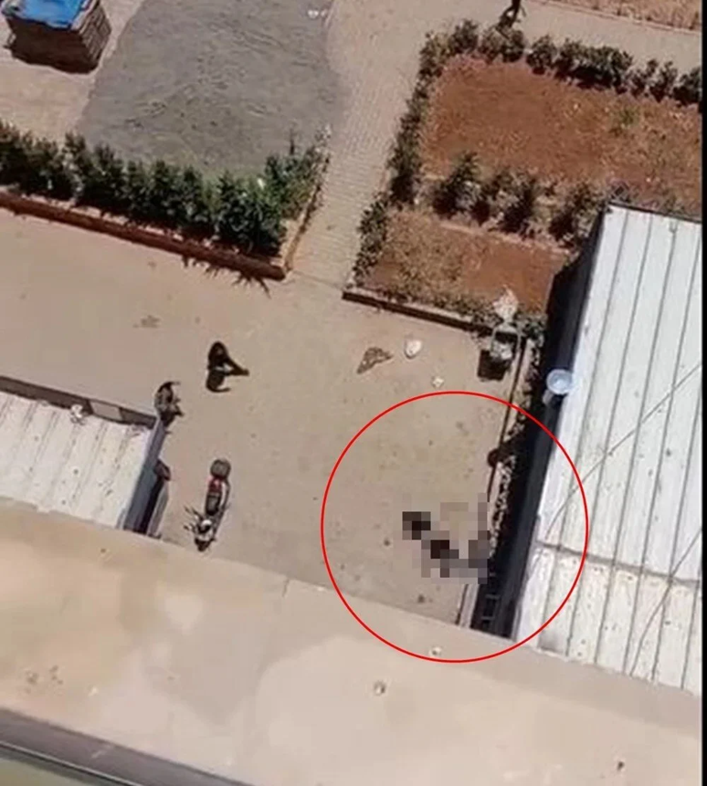 Oyuncu Abdullah Cevheroğlu 11. kattan düşerek hayatını kaybetti! Abdullah Cevheroğlu kimdir? - Resim : 1