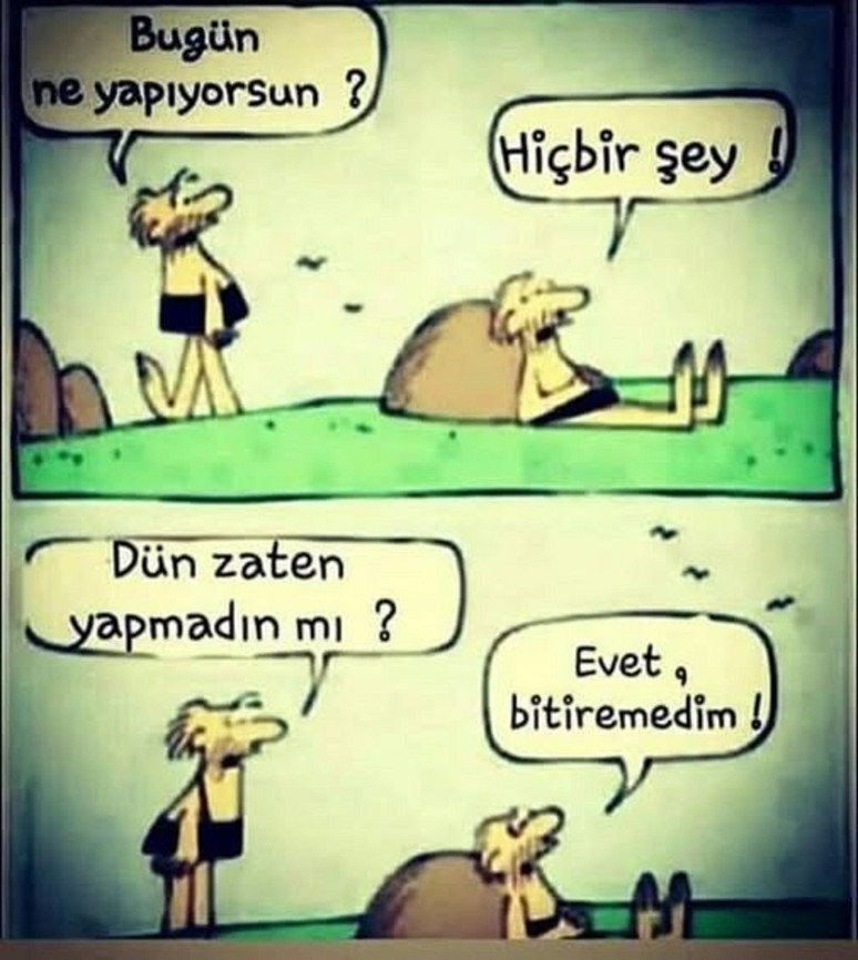 Geldiğimiz yeri unuttuk mu? - Resim : 3