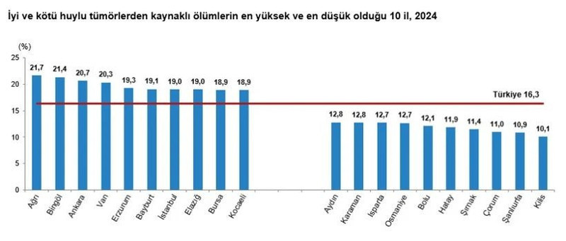 Bu illerde tümör kaynaklı ölümler zirvede! İşte o şehirler - Resim: 3