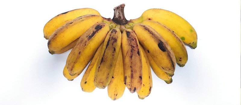 Dünyanın en lezzetli muz türleri açıklandı! Tatlı aromasıyla o muz zirvede - Resim: 11