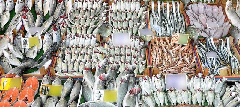 Av sezonu başladı! Hangi ayda hangi balık yenir? - Resim: 12