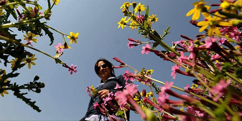 Meteoroloji açıkladı: Yağış etkisini kaybedecek! Bu bölgelerde yazdan kalma son günler - Resim: 9