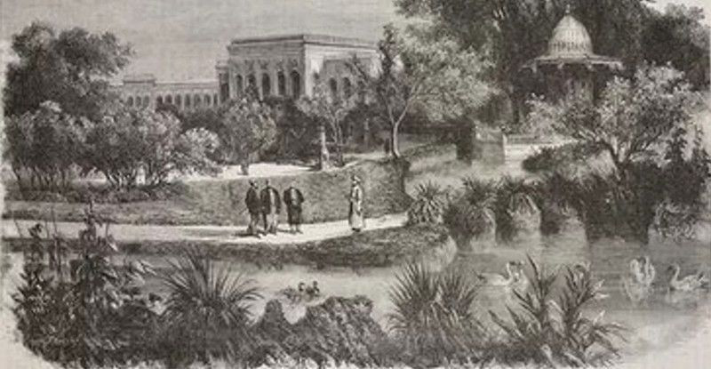 O meyve Osmanlı'da yasaklanmıştı! İşte sebebi - Resim: 2