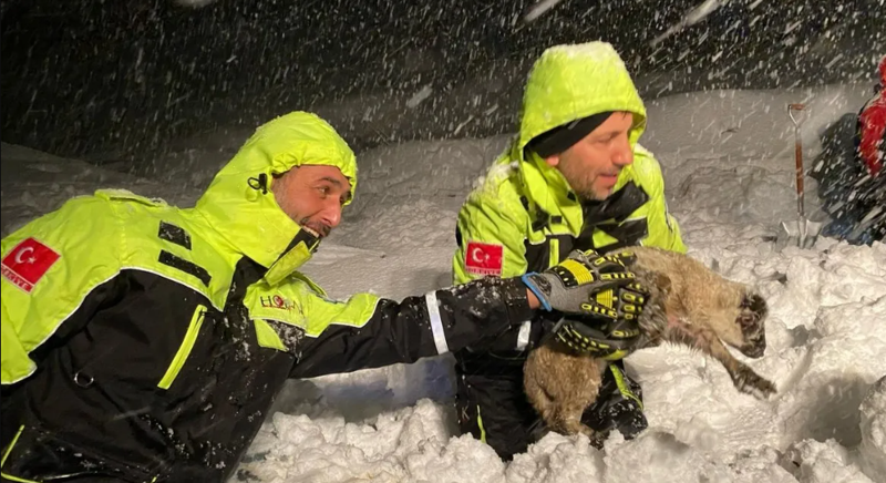 En soğuk günler: Donuyoruz! - Resim: 10