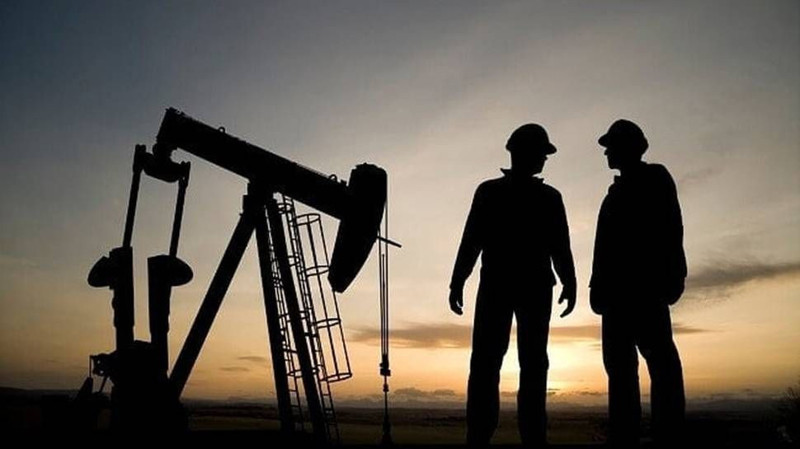 Üniversite tercihi yapacaklar dikkat! En fazla kazandıran bölümler açıklandı: Hangi bölümler ilk sırada? - Resim: 8