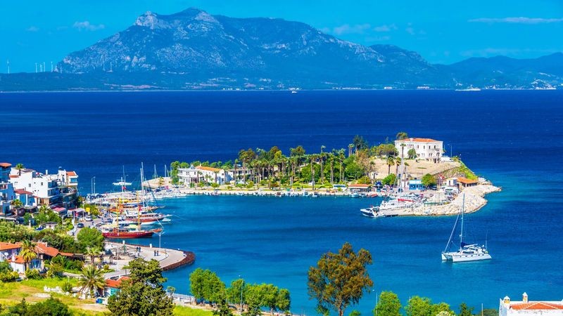 Bu salyangozlar Türkiye'de yeniyor! İşte Datça'nın meşhur yemeği Garaville - Resim: 9