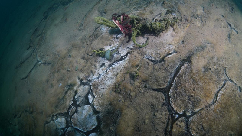 Van Gölü'nün derinliklerinden çıkanlar yürek burktu! Dalgıçlar robotlarla temizledi... - Resim: 8