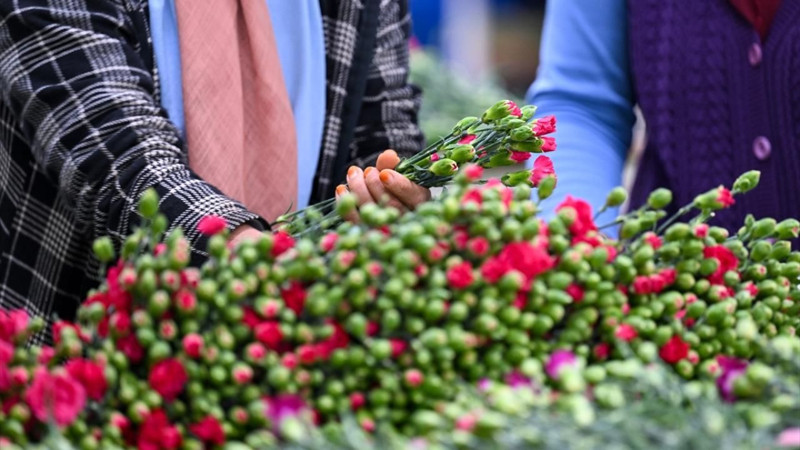 Türkiye'den 141 milyon dolarlık çiçek ihracatı - Resim: 1