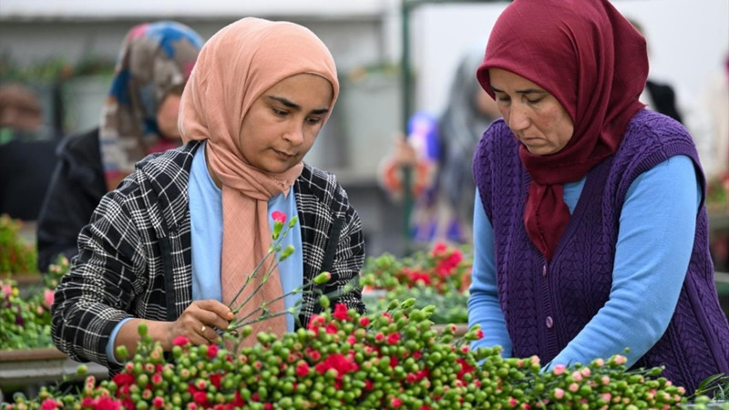 Türkiye'den 141 milyon dolarlık çiçek ihracatı - Resim: 2