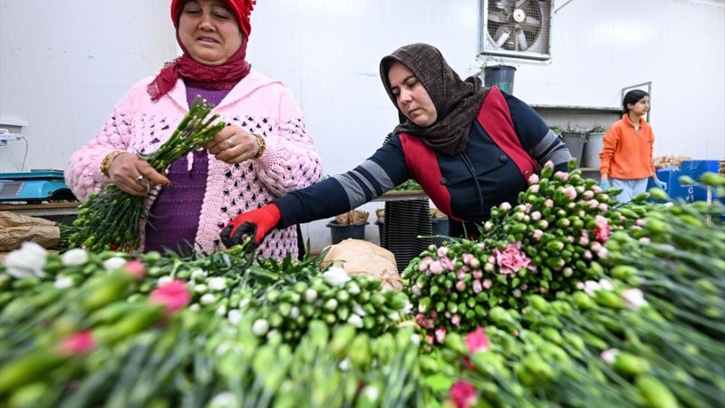 Türkiye'den 141 milyon dolarlık çiçek ihracatı - Resim: 5