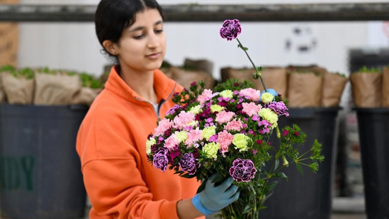 Türkiye'den 141 milyon dolarlık çiçek ihracatı - Resim: 6