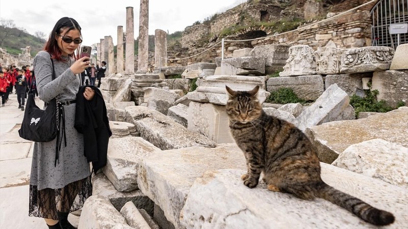 Efes, 2024'te ziyaretçi rekoru kırdı - Resim: 8