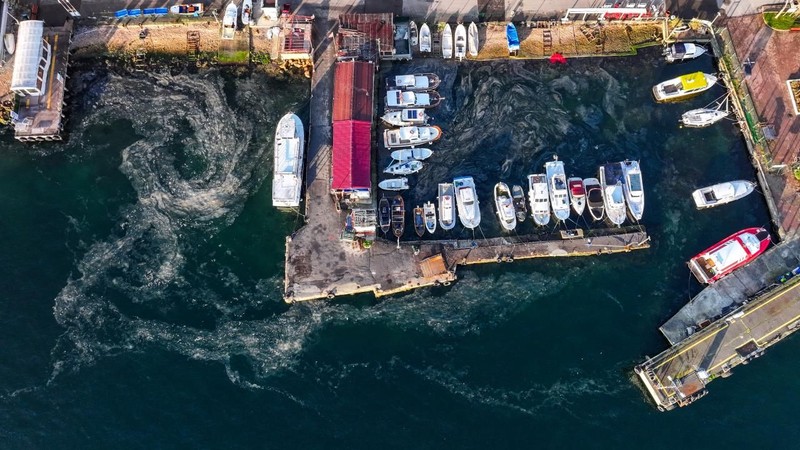 Marmara Denizi'nde müsilaj yeniden görüldü - Resim: 2