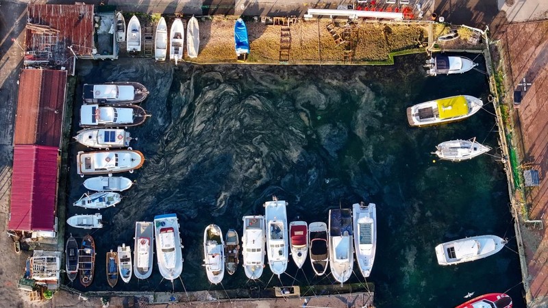 Marmara Denizi'nde müsilaj yeniden görüldü - Resim: 3
