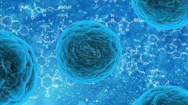 İshal, bulantı ve kusma: Norovirüs vakaları artıyor - Resim: 7
