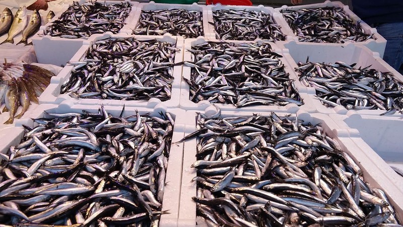Samsun'da hamsi kaç lira oldu? İşte hamsinin kilogram fiyatı - Resim: 6