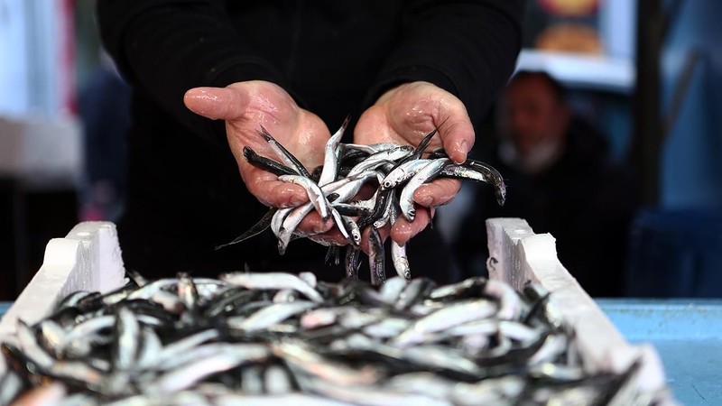 Samsun'da hamsi kaç lira oldu? İşte hamsinin kilogram fiyatı - Resim: 10