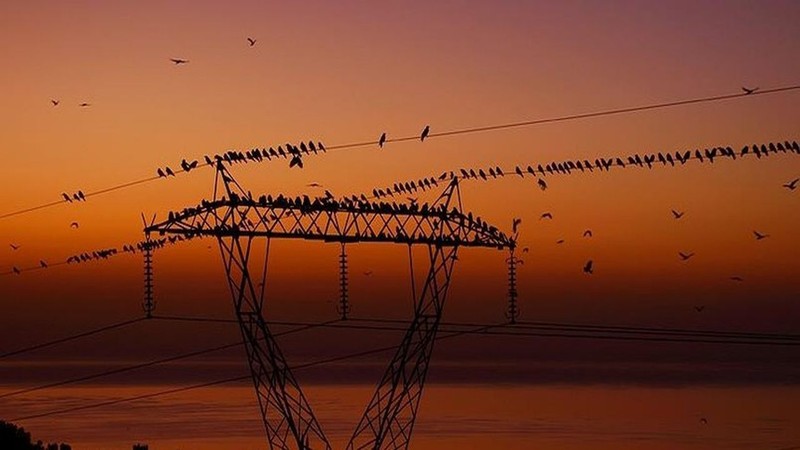 İstanbul'un 19 ilçesinde elektrik kesintisi: İşte etkilenecek bölgeler - Resim: 23