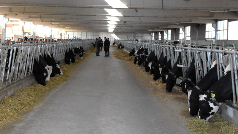 Aksaray'da devletten 3.2 milyon TL'lik hibe alarak kurdu! Şimdi 33 bin TL maaşla çalışacak işçi bulamıyor - Resim: 10