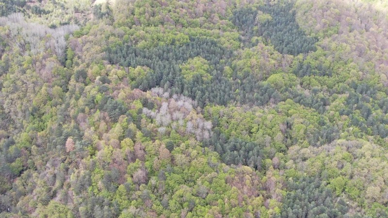 Kastamonu’dan kartpostallık görüntüler! Çatalzeytin ve Bozkurt ilçeleri arasında bulunuyor - Resim: 7