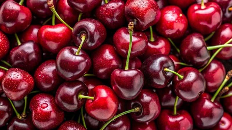 En fazla kiraz üretilen 10 ülke belli oldu! Türkiye zirveye yerleşti - Resim: 9