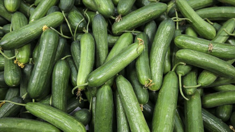 En riskli 8 gıda hangisi? Onlarca kişi hastanelik olmuştu - Resim: 4