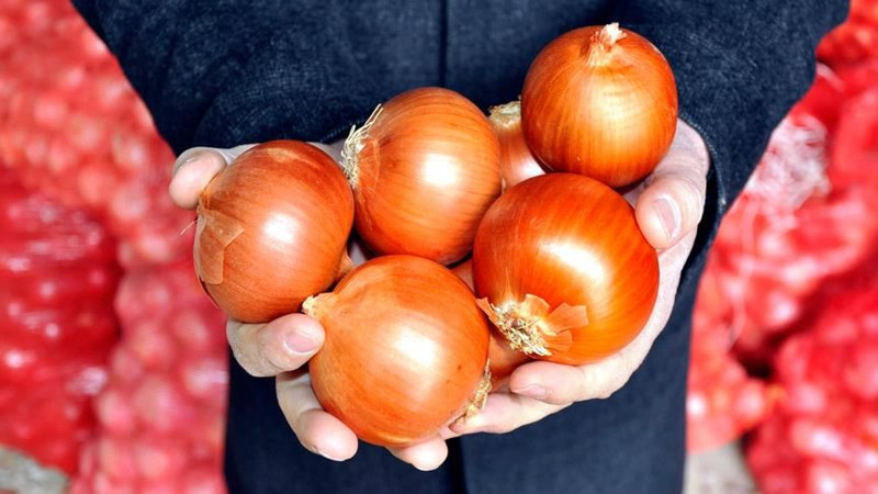 En riskli 8 gıda hangisi? Onlarca kişi hastanelik olmuştu - Resim: 7