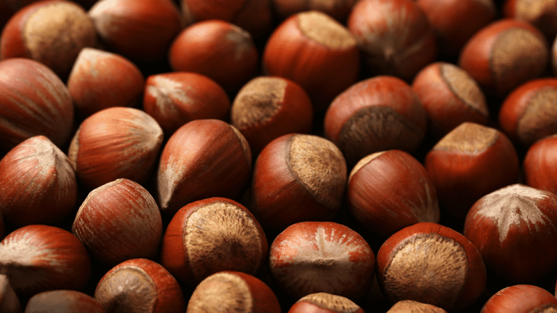 Dünya fındık üretim beklentileri açıklandı! Türkiye beklentileri moral bozdu - Resim: 4