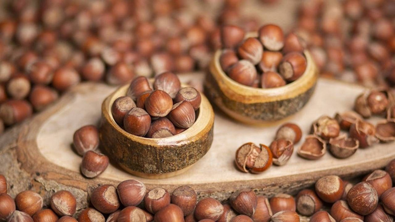 Dünya fındık üretim beklentileri açıklandı! Türkiye beklentileri moral bozdu - Resim: 8