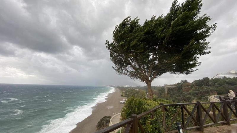 Kastamonu, Sinop, Trabzon, Rize'ye dikkat - Resim: 1