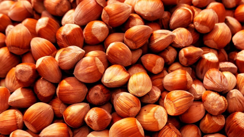 Serbest piyasa fındık fiyatlarında bu rakamlar konuşuluyor! Ordu'da fiyatlar yükseldi - Resim: 10