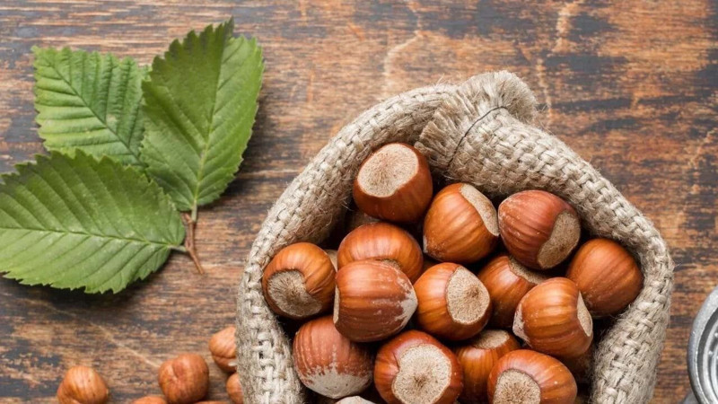 Serbest piyasa fındık fiyatlarında bu rakamlar konuşuluyor! Ordu'da fiyatlar yükseldi - Resim: 5