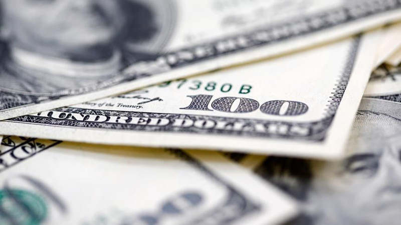 Dolar 46 TL mi olacak? Enflasyon ve faiz tahmini piyasalarda taşları yerinden oynattı! - Resim: 2