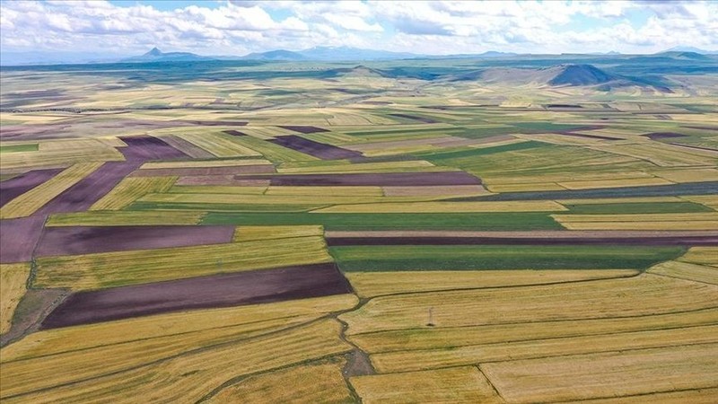 Gayrimenkul uzmanı açıkladı! İşte Türkiye’de arazi fırsatları olan, gelecekte kârlı çıkabileceğiniz şehirler - Resim: 1