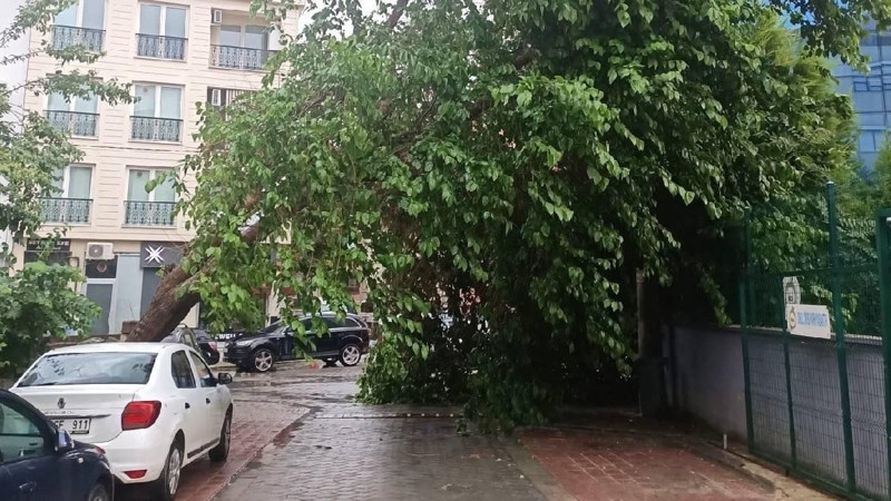 Afyonkarahisar, Uşak ve Denizli'ye dikkat! - Resim: 5