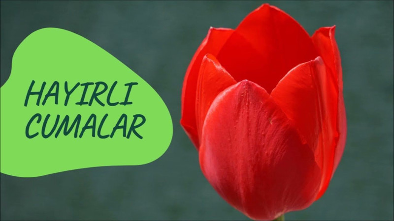 En güzel resimli ve yeni Cuma mesajı! 2025 ayetli ve dualı Hayırlı Cumalar mesajları - Resim: 7