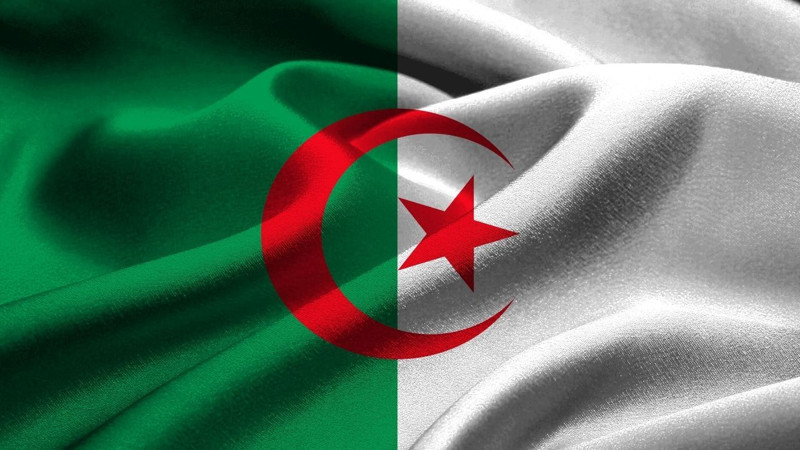 En fazla zeytin üreten 10 ülke açıklandı! Bakın Türkiye kaçıncı sırada... - Resim: 9