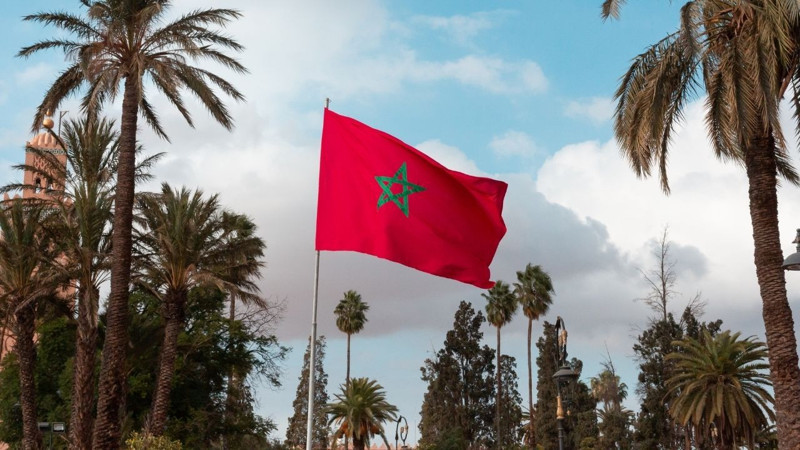 En fazla zeytin üreten 10 ülke açıklandı! Bakın Türkiye kaçıncı sırada... - Resim: 6