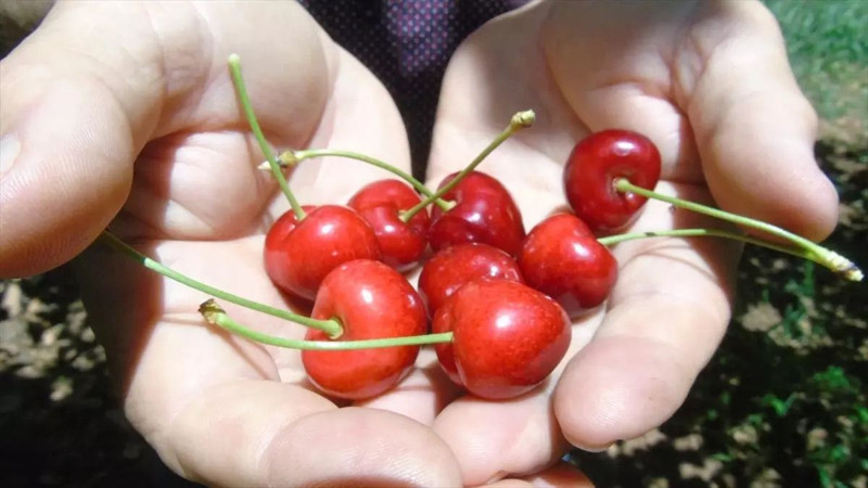 Gaziantep'in İslahiye İlçesinde üretiliyor! Marketlerde 200 liraya satılıyor - Resim: 7