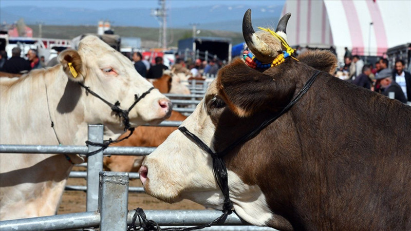 Kurban keserken okunacak dualar! İşte doğru uygulama rehberi - Resim: 9